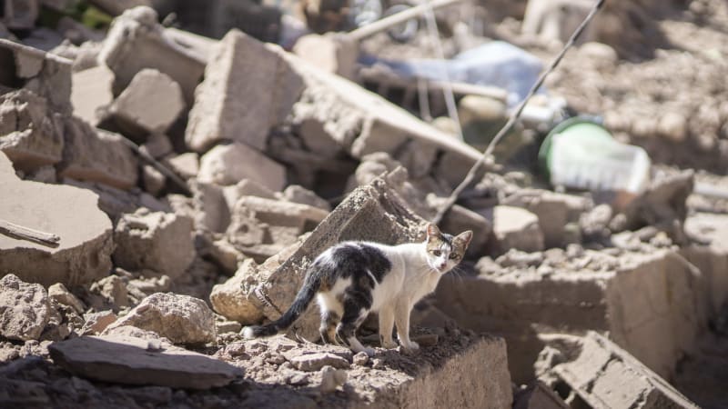 Pád dvou obytných budov v Maroku: Nejméně 19 lidí zemřelo, mezi oběťmi jsou i čtyři děti