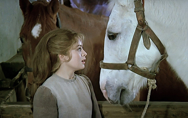 Smutný konec Juráška z Popelky. Narodil se jako hnědák, na zimní natáčení doplatil