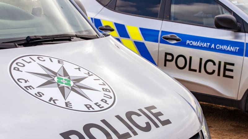 Cizinec uškrtil na Kolínsku ženu kabelem. Soud ho nyní poslal za vraždu na 17 let do vězení