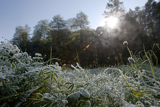 Rána budou chladná, místy může i mrznout. Příští týden se v Česku oteplí