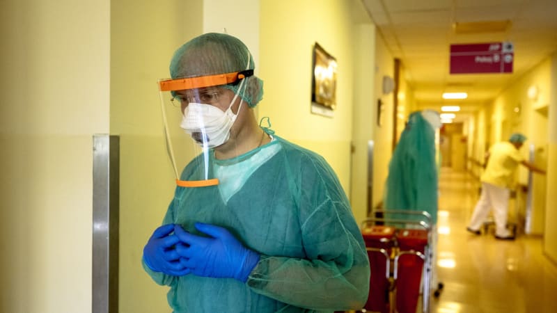 Hantavirus hrozí dál: Smrtící choroba se objevila v Izraeli. Pacient se měl nakazit v Evropě