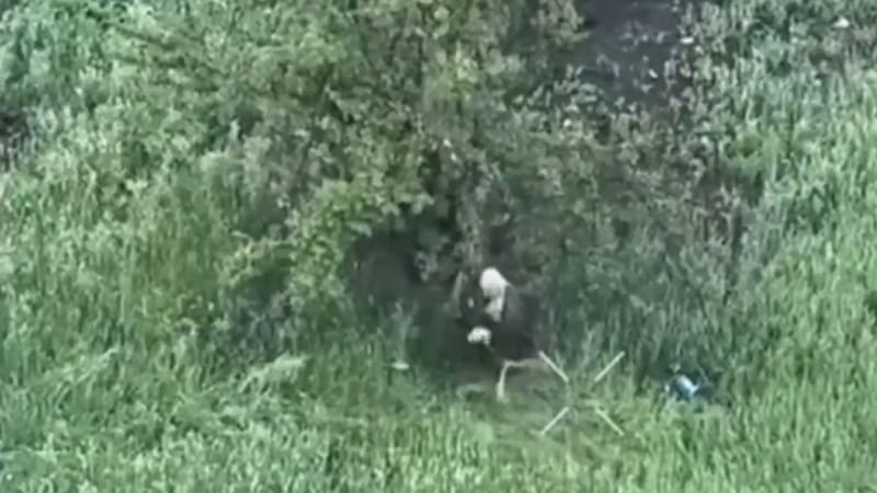 Bizarní video ruského vojáka, který šťoural klackem do dronu s trhavinou. Neměl to dělat